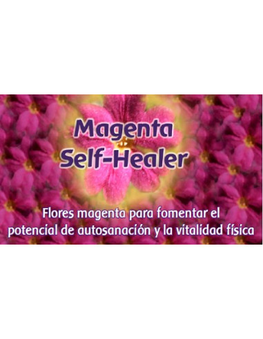 Magenta Self Healer