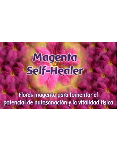 Magenta Self Healer