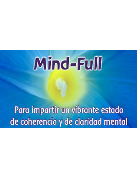 Mind Full