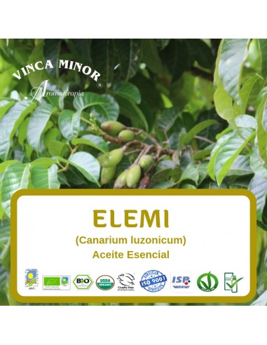 Elemi (Canarium luzonicum) - Aceite Esencial 10 ml