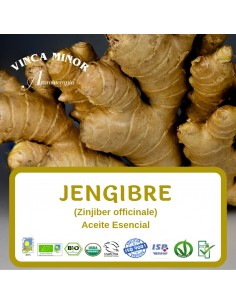 Jengibre (Zinjiber officinale) - Aceite Esencial 10 ml