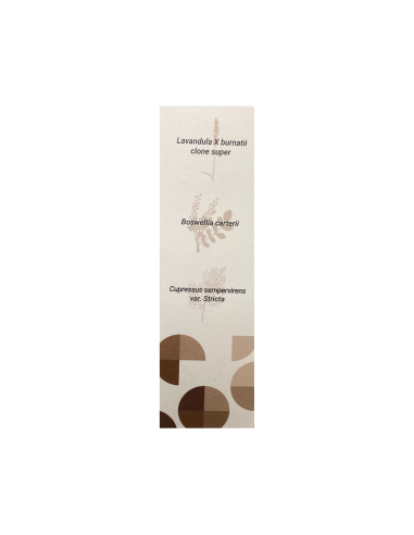 Sinergia de Aceites Esenciales Woods 30ml Terpenic