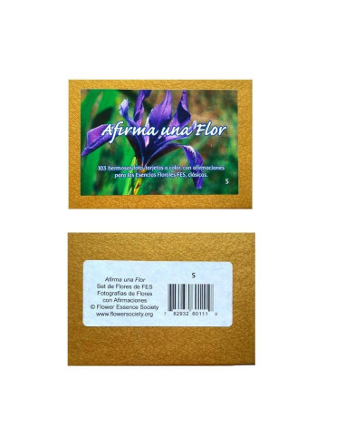 Cartas Afirma una Flor FES Quintessentials