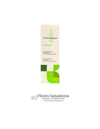 Menta Poleo - Aceite Esencial 10 ml Terpenic