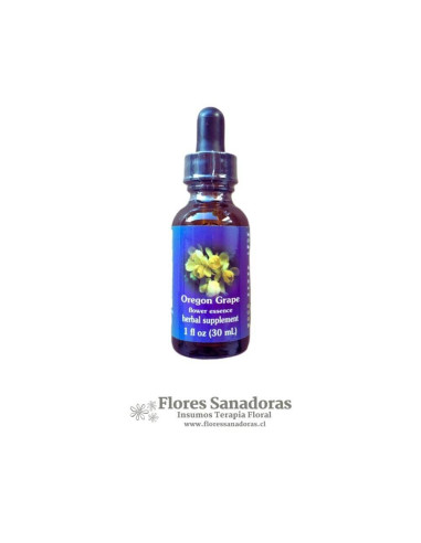 Oregon Grape