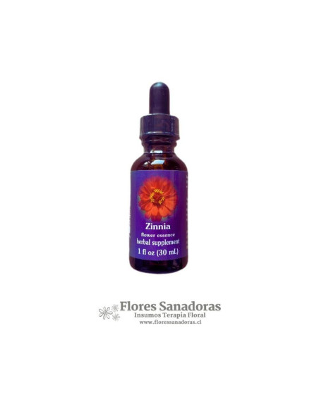 Zinnia