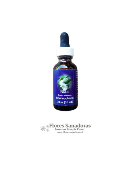 Basil