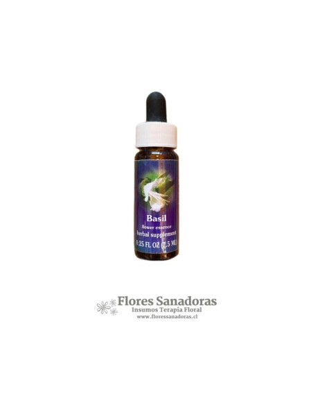 Basil
