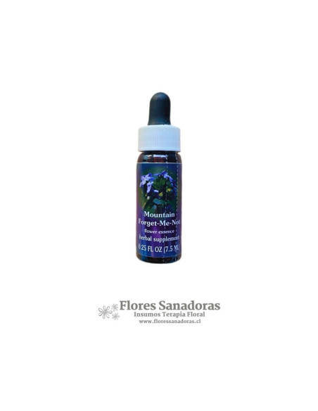 Mountain Forget Me Not