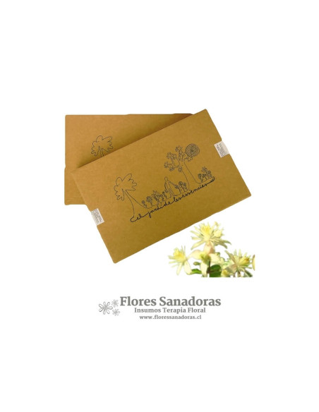 Set de Flores de Bach El Jardi de Les Essencies de 12 ml (FULL ACCESORIOS)