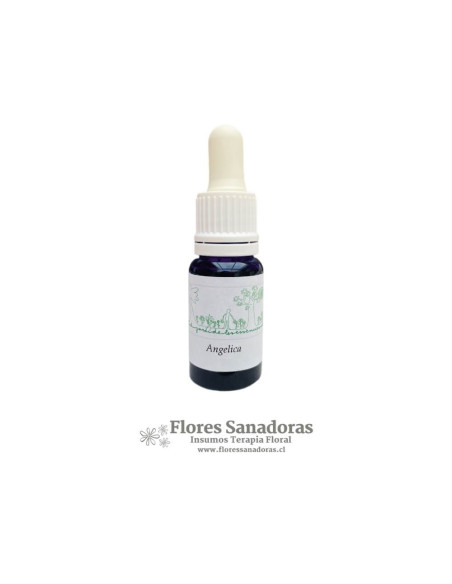 Angelica