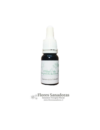 El Guerrero de la Voluntad (Orquidea Psychopsis...