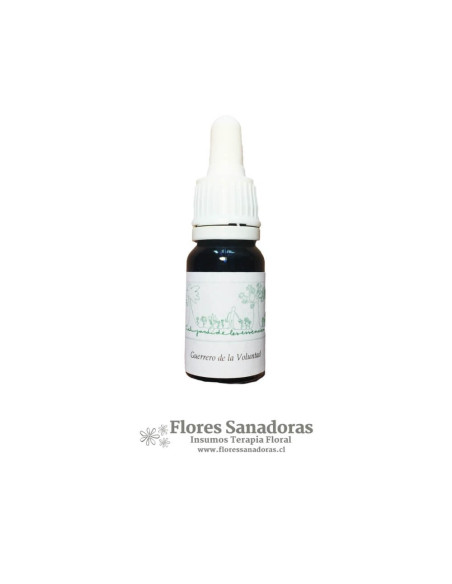 El Guerrero de la Voluntad (Orquidea Psychopsis papilio)