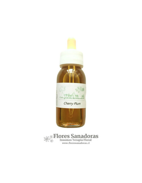 Cherry Plum