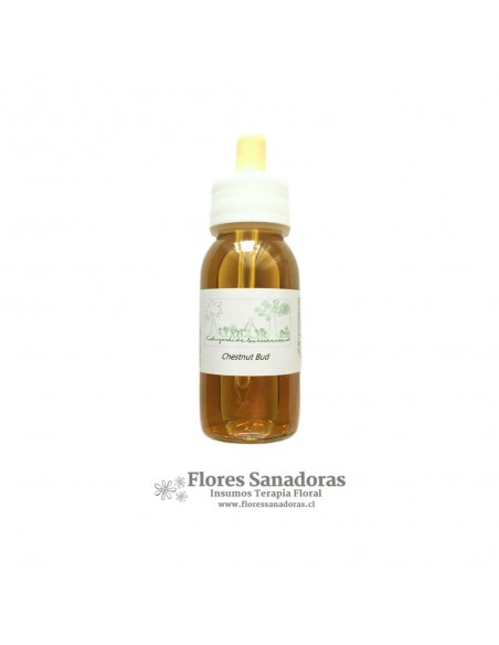 Chestnut Bud