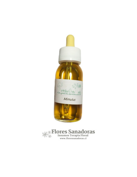 Mimulus