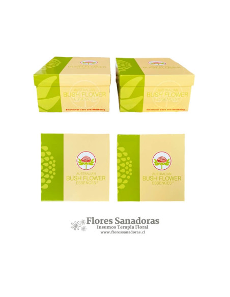 Set Flores de Bush Flowers Essences