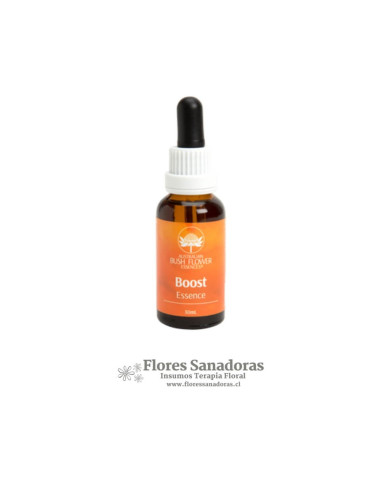 Boost Essence (Apoyo)