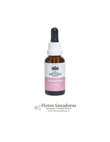 Mumma Mojo Remedy Essence (Maternidad)