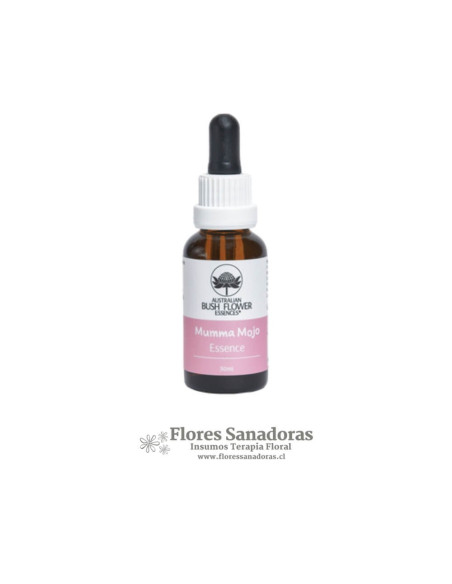 Mumma Mojo Remedy Essence (Maternidad)
