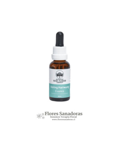 Sibling Harmony (Armonia entre Hermanos)