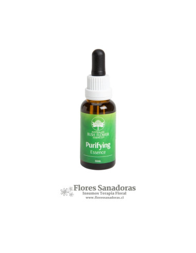 Purifying Essence (Desintoxicante)