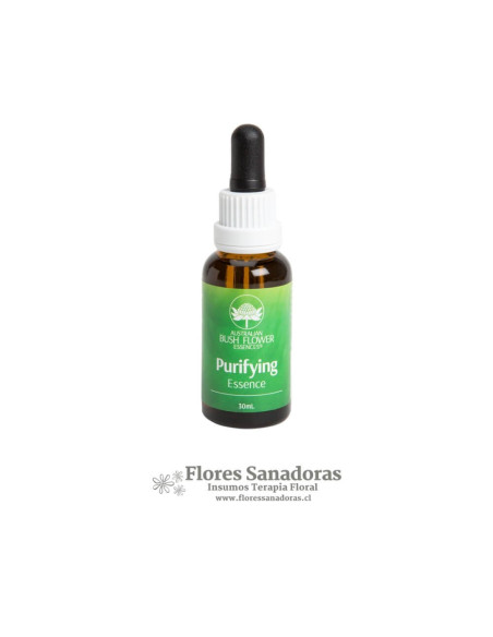 Purifying Essence (Desintoxicante)