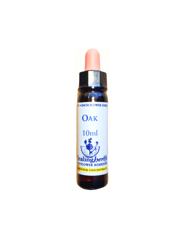 Para quienes nunca se rinden, incluso agotados. Oak enseña a reconocer los límites y cultivar el autocuidado.