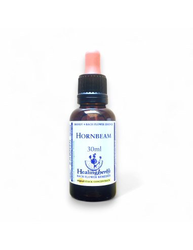 Para quienes sienten cansancio mental antes de comenzar. Hornbeam renueva la energía para afrontar el día.