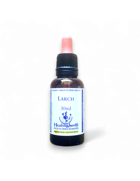 Larch: miedo al fracaso, baja autoestima