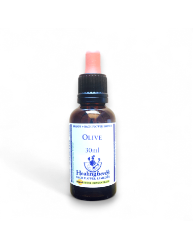 Para quienes están agotados física y mentalmente. Olive restaura la energía vital y emocional.