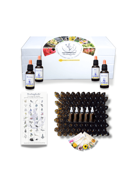 Set de Flores de Bach 30 ml con frascos gotario ámbar – Healing Herbs