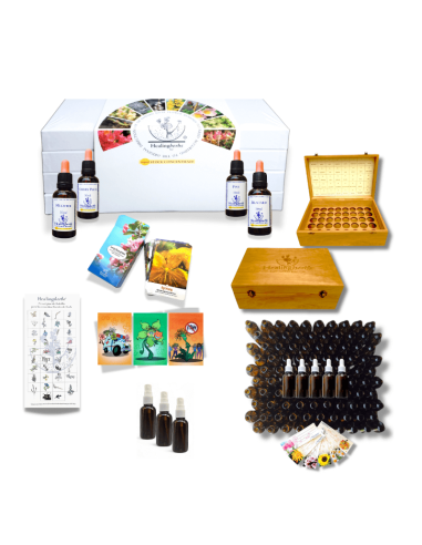 Set completo de Flores de Bach 30 ml con caja, folleto, frascos y cartas – Healing Herbs