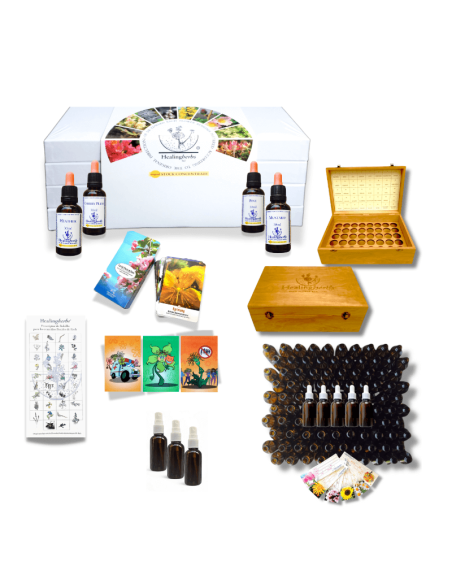 Set completo de Flores de Bach 30 ml con caja, folleto, frascos y cartas – Healing Herbs