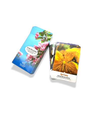 Set de cartas de Flores de Bach que combina imágenes naturales y descripciones