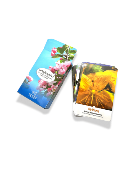 Set de cartas de Flores de Bach que combina imágenes naturales y descripciones
