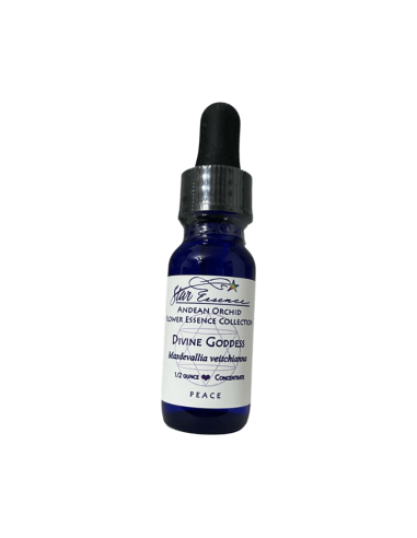 Divine Goddess 15 ml – Star Essence