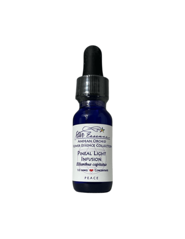 Pineal Light Infusion 15 ml – Star Essence