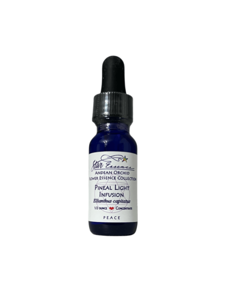 Pineal Light Infusion 15 ml – Star Essence