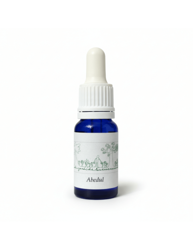 Abedul (Betula pendula) 12 ml – El Jardí de les...