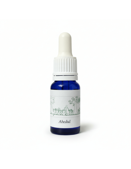 Abedul (Betula pendula) 12 ml – El Jardí de les Essències