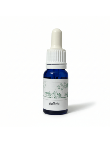 Ballota (Ballota pseudodictamnus) 12 ml – El...