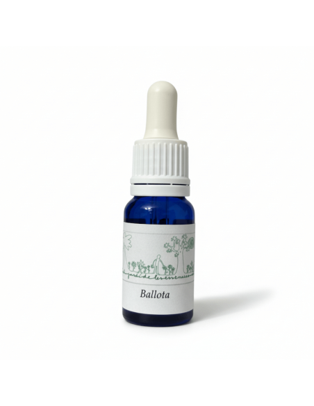 Ballota (Ballota pseudodictamnus) 12 ml – El Jardí de les Essències