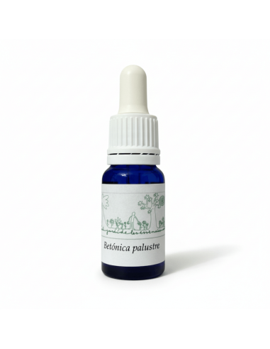Betónica palustre 12 ml – Esencia floral (El...