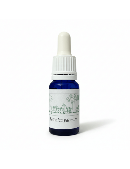 Betónica palustre 12 ml – Esencia floral (El Jardí de les Essències)