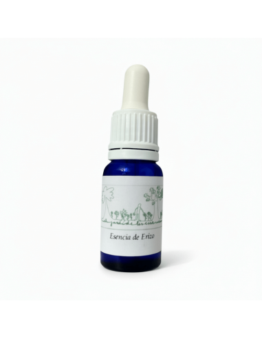 Esencia de Erizo (Atelerix algirus) 12 ml – El...