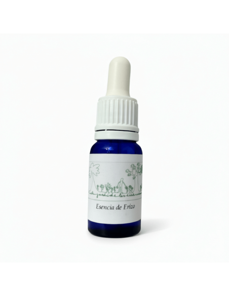 Esencia de Erizo (Atelerix algirus) 12 ml – El Jardí de les Essències