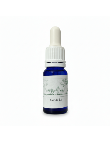 Flor de Lis (Sprekelia formosissima) 12 ml – El...