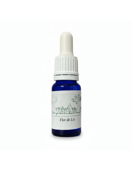 Flor de Lis (Sprekelia formosissima) 12 ml – El Jardí de les Essències