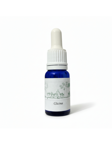 Glicina (Wisteria sinensis) 12 ml – El Jardí de...